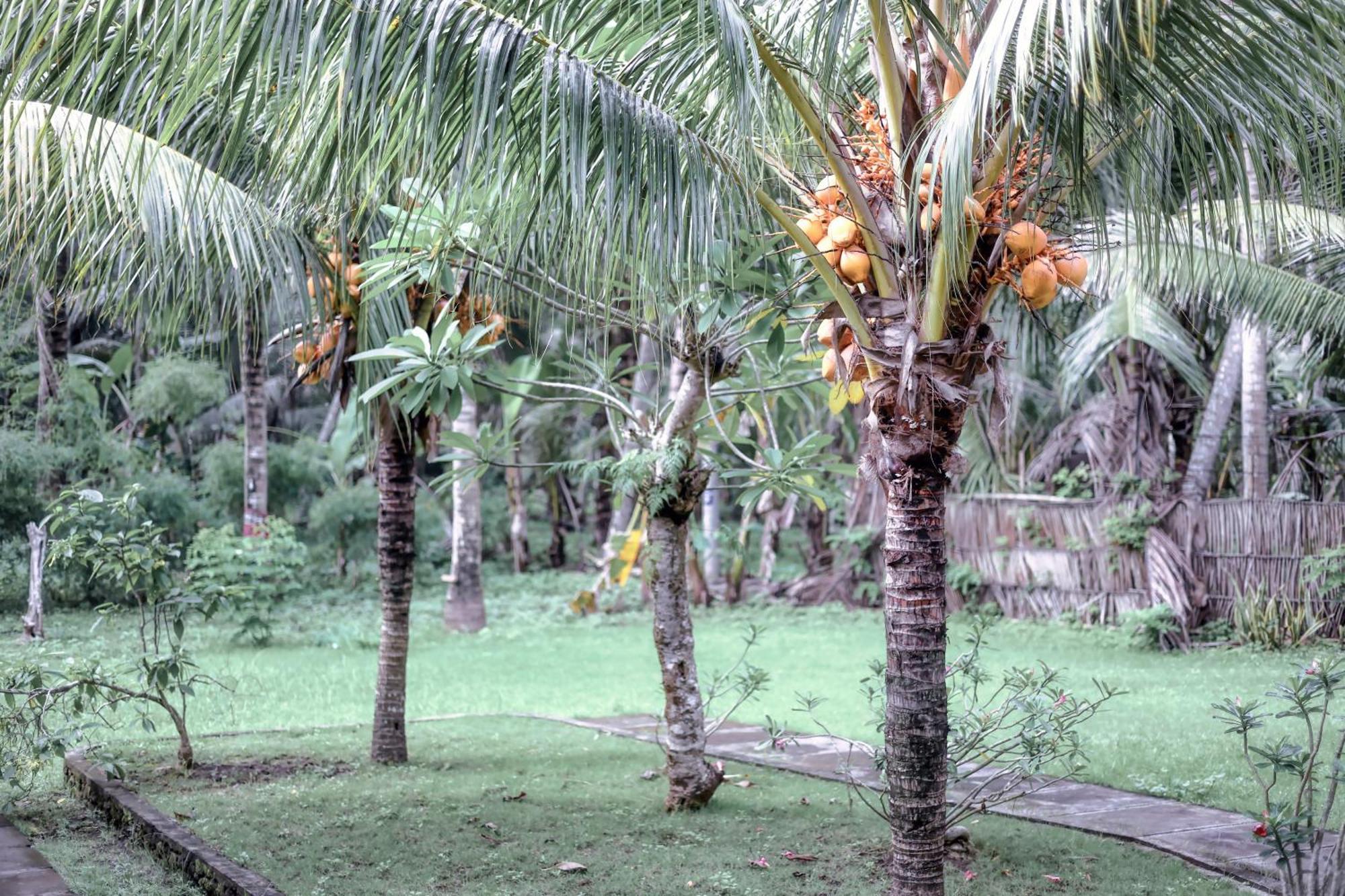 Komurd Lavender Bungalow Sakti Buitenkant foto